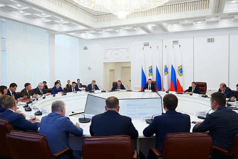 Саратовский губернатор поручил усилить контроль за бездомными животными 